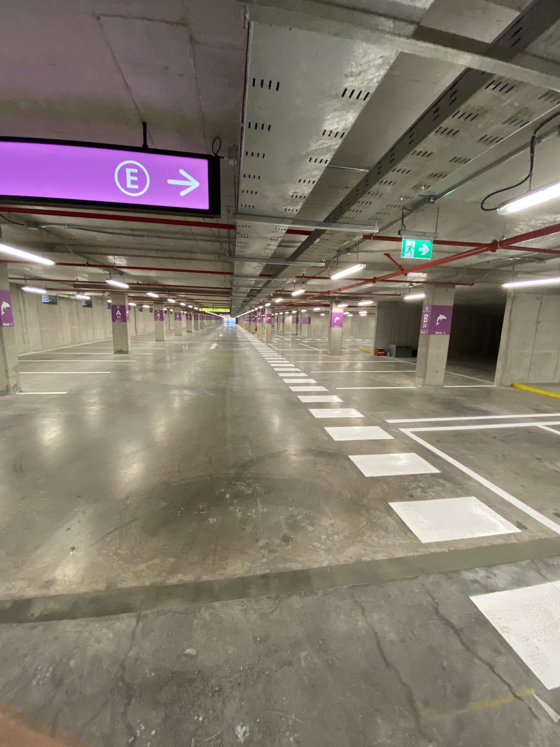 Foto 29-07-20, 16 11 01