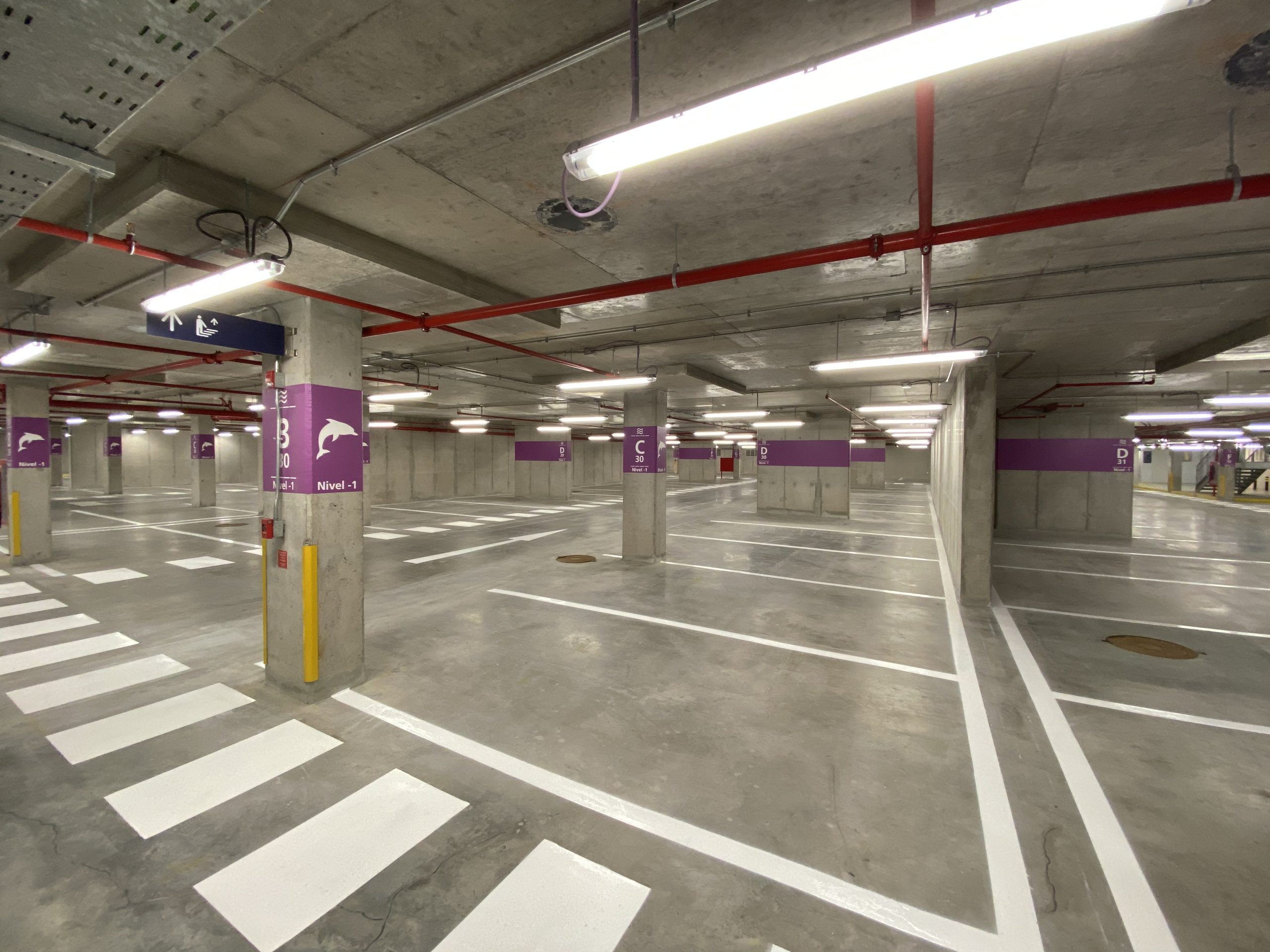 Foto 30-07-20, 12 56 11